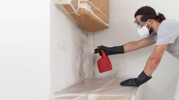 Professional Basement Mold Remediation technician working in Heathsville, VA