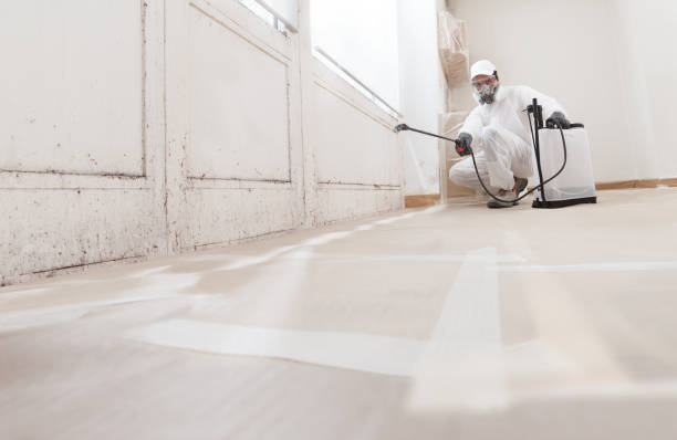 24/7 Emergency Basement Mold Remediation experts in Heathsville, VA